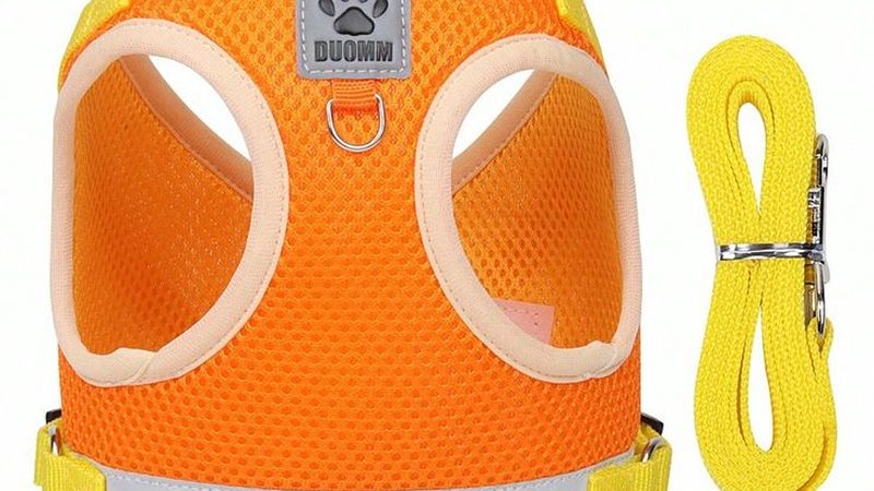 重庆小型冷库安装：如何合理报价与选型**