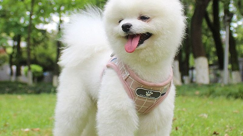 小型冷库造价揭秘：如何准确估算成本