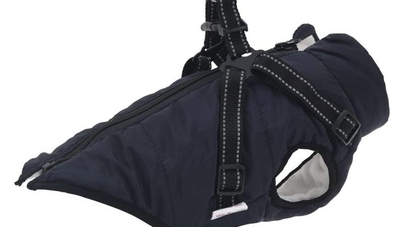 水冷与风冷：冷水机组的“冷”与“静”之争
